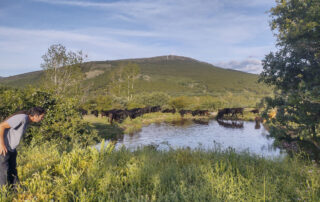 Moncayo ecológico Moncayo ecológico