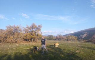 Moncayo ecológico Moncayo ecológico