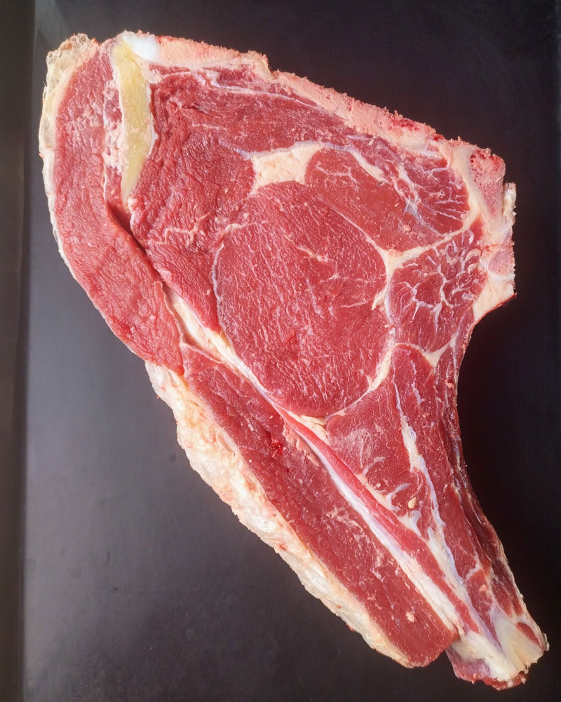 Lote Moncayo Lote Moncayo