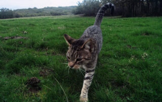 Moncayo ecológico Moncayo ecológico