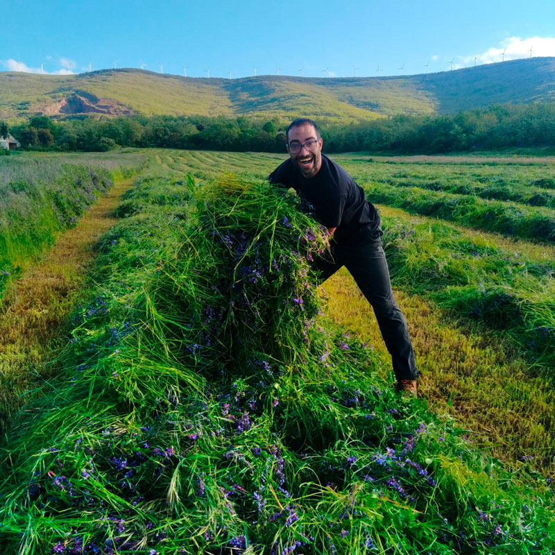 agricultura agricultura